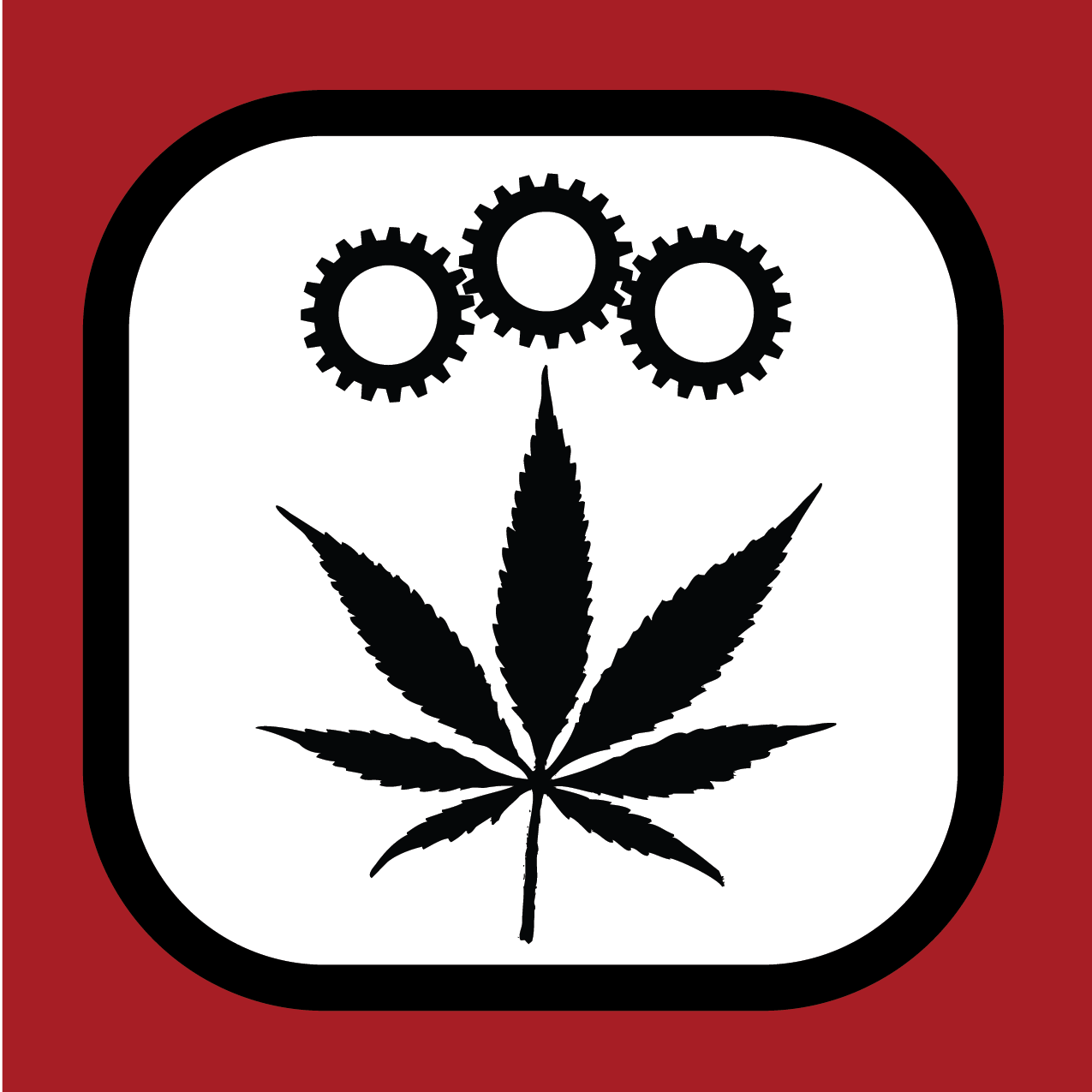 Production et transformation de cannabis